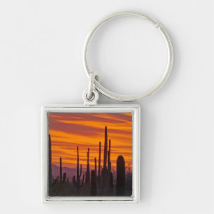 Saguaro, sunset, Saguaro National Park Keychain