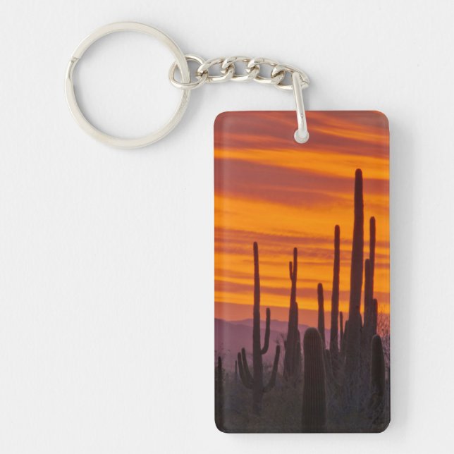 Saguaro, sunset, Saguaro National Park Keychain (Front)