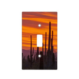 Saguaro, sunset, Saguaro National Park Light Switch Cover