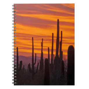 Saguaro, sunset, Saguaro National Park Notebook