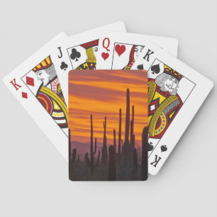 Saguaro, sunset, Saguaro National Park Poker Cards