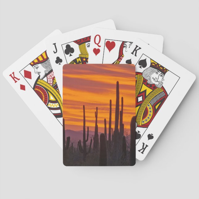 Saguaro, sunset, Saguaro National Park Poker Cards (Back)