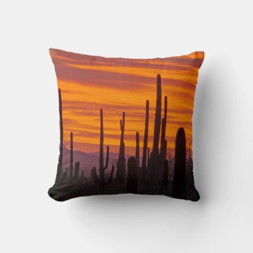 Saguaro sunset Saguaro National Park Throw Pillow