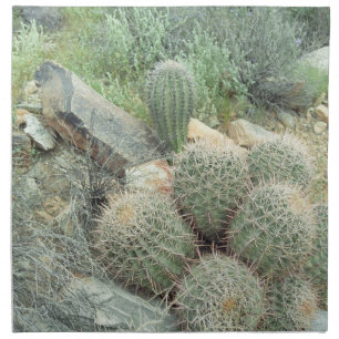 Saguaro Swirl Desert Cactus Photo Cotton Napkins