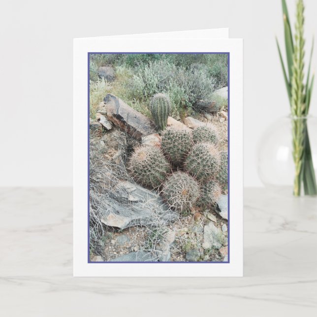 Saguaro Swirl Greeting Card (Front)