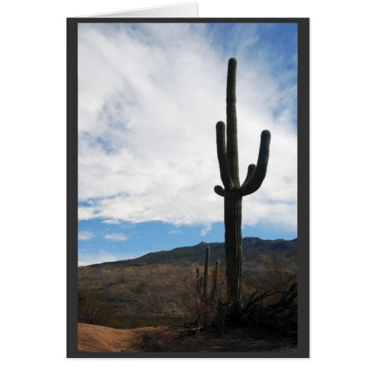 "Saguaro Vista" Cards (Front)
