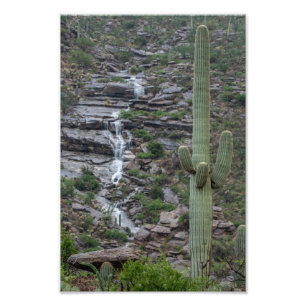 Saguaro With Waterfall in the Arizona Desert Photo Print