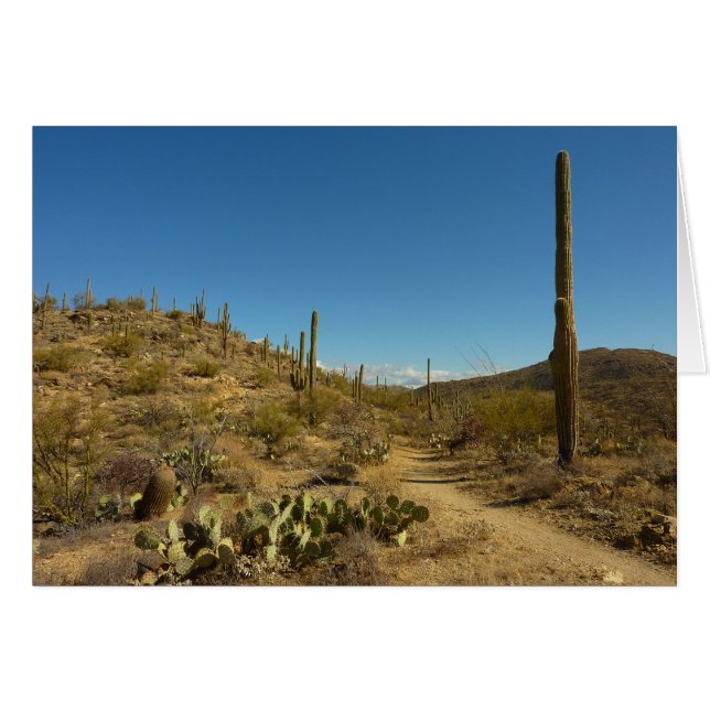 Saguaro's Carillo Trail in Saguaro National Park Cards (Front Horizontal)
