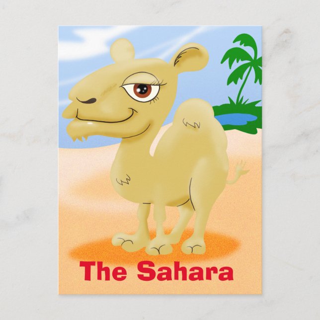 Sahara Cartoon Camel Postcard (Front)