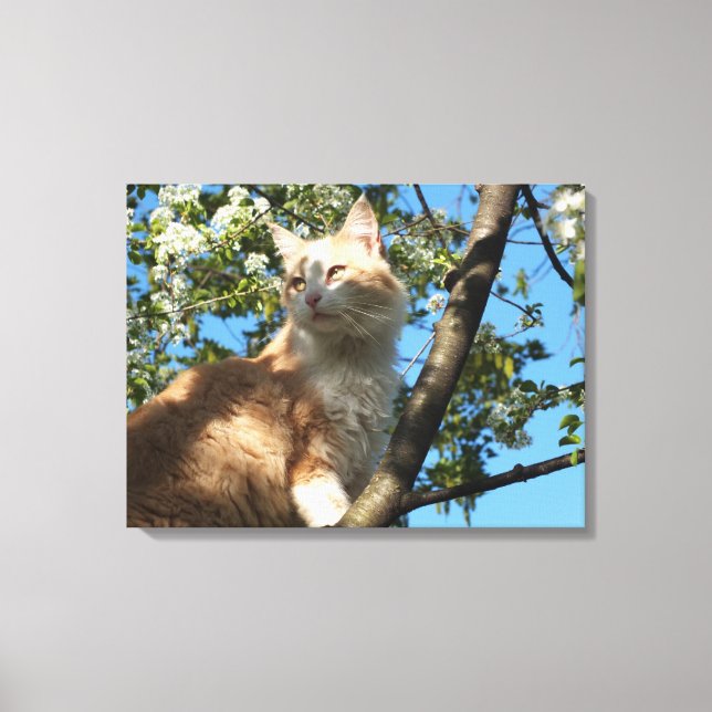 Sahara Cat In A Cherry Tree Wrapped Canvas Print (Front)