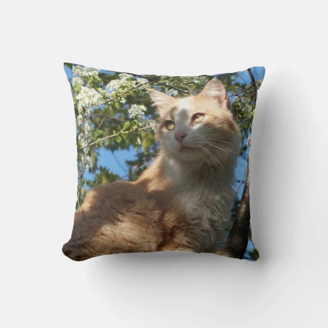 Sahara Cat In A Tree II -Throw Pillow (Front)