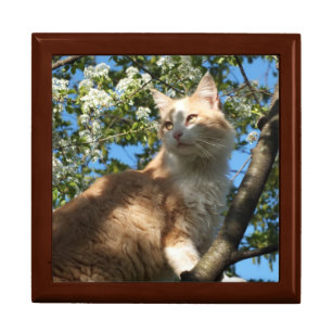 Sahara Cat In A Tree Keepsake/Jewelry Box