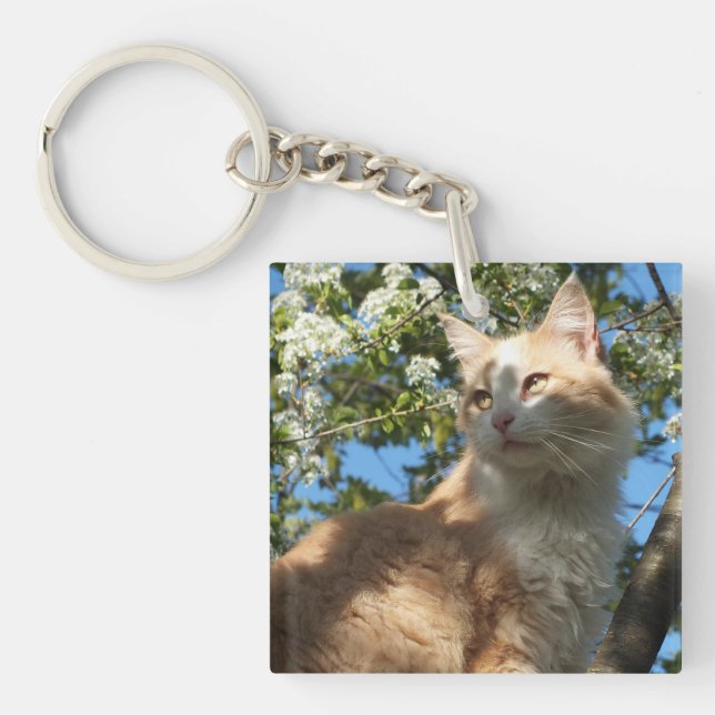 Sahara Cat in a Tree Key Chain (Front)