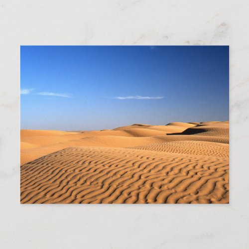 Sahara Desert Tunisia Postcard