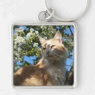 Sahara In A Tree Key Chain