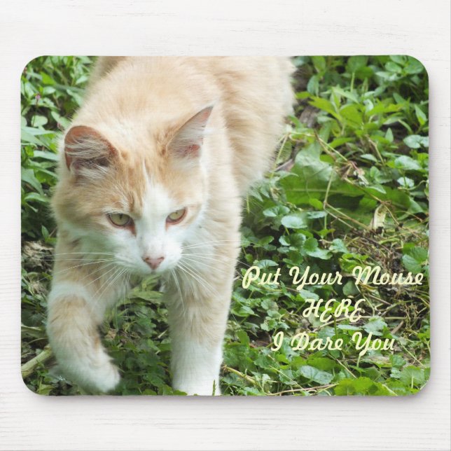 Sahara Jungle Cat Mouse Pad (Front)