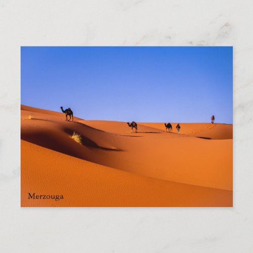 Sahara  Merzouga in the early morning Postcard