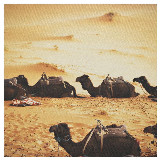 Sahara Themed, Lineup Of Camels In Golden Sand Sah Fabric (Swatch)