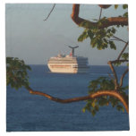Sail Away at Sunset I Cruise Vacation Photography Napkin