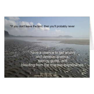 Sail Away From the Safe Harbor Cards