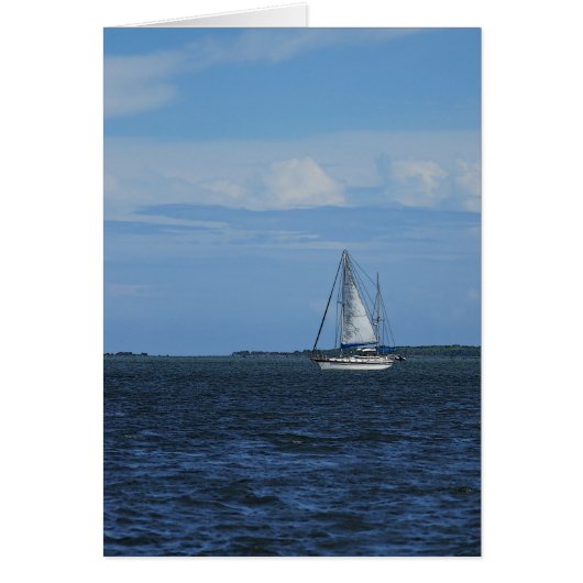 Sail Away Painterly Cards (Front)