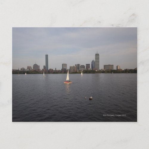Sail Boat Charles River Boston MA Postcard
