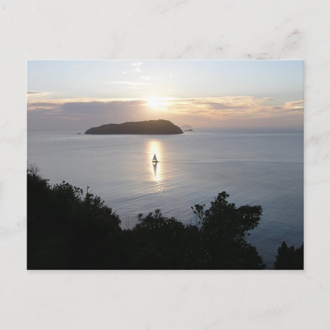 Sail boat in the Sunrise New Zealand Mt Paku Postcard (Front)