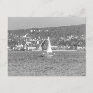 Sail Boat Lake Zurich Postcard