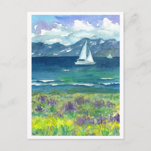 Sail Boat Mountain Lake Purple Watercolor Lupines Postcard