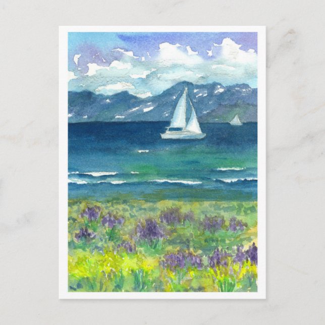 Sail Boat Mountain Lake Purple Watercolor Lupines Postcard (Front)