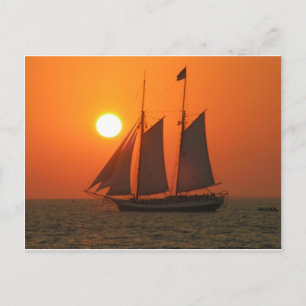 Sail into the Sunset Postcard