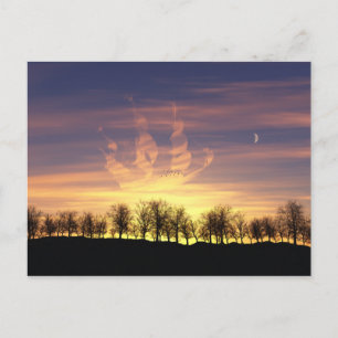 Sail the Night Sky Postcard