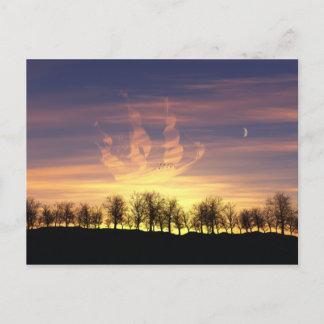 Sail the Night Sky Postcard
