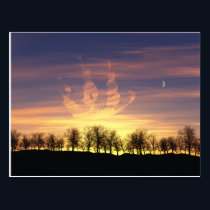 Sail the Night Sky Postcard