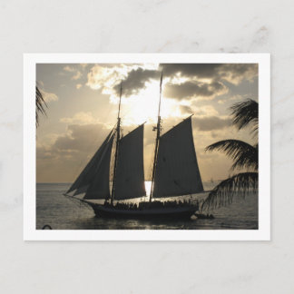 Sailboat in Sunset Postcard