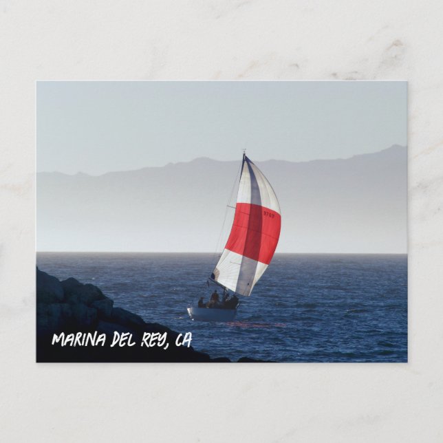 Sailboat - Marina Del Rey, CA Postcard (Front)