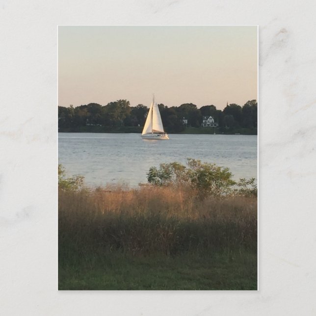 Sailboat on the Water Postcard (Front)
