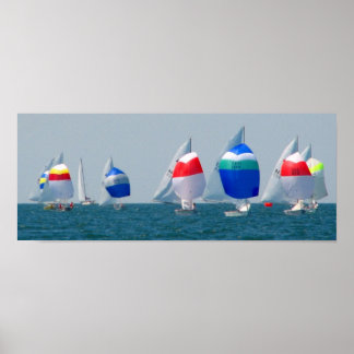 Sailboat races poster