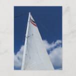 Sailboat Sail Postcard at Zazzle