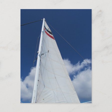 Sailboat Sail Postcard
