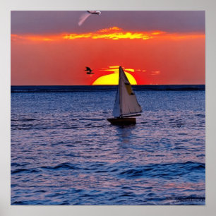 Sailboat Sunset in Florida Poster