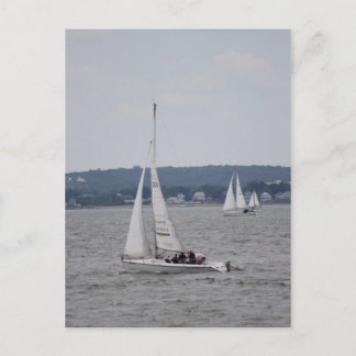 Sailboating Postcard