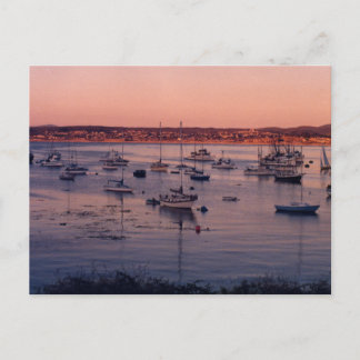 Sailboats and Sunsets Postcard
