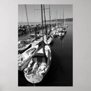 Sailboats Black and White Poster