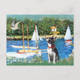 Sailboats - Boston Terrier #@ Postcard