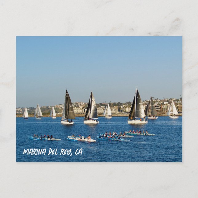 Sailboats In Channel. Marina Del Rey, CA Postcard (Front)