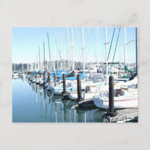 Sailboats in Harbor Postcard