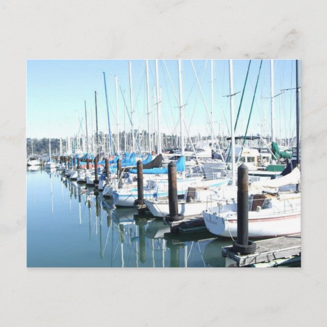 Sailboats in Harbor Postcard (Front)