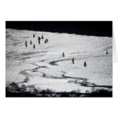 Sailboats in silhouette, Charles River Basin, Card (Front Horizontal)