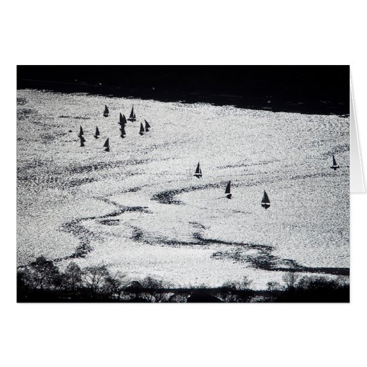Sailboats in silhouette, Charles River Basin, Card (Front Horizontal)